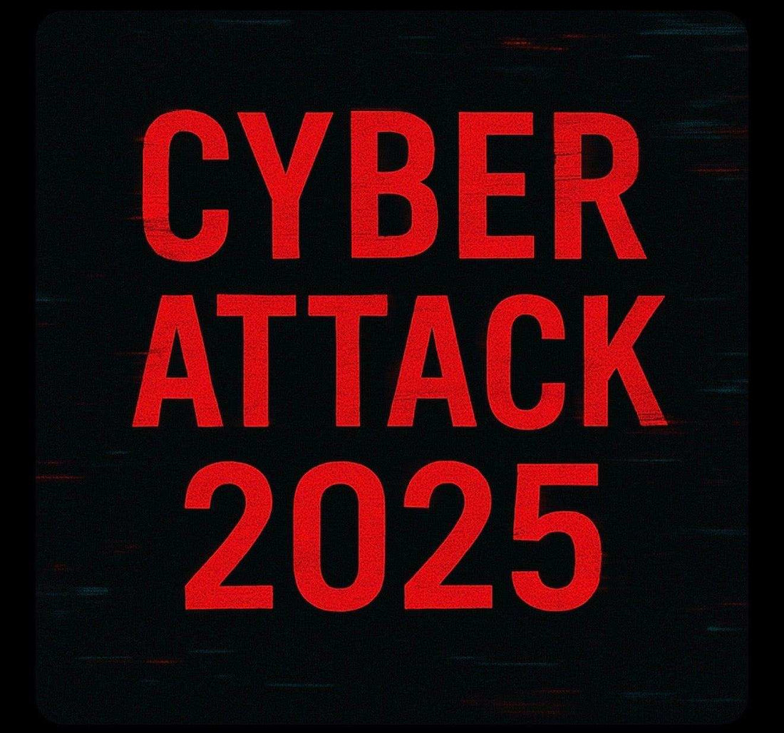 Digital disruption concept - Coral Spa Store business owner's experience during 2025 internet outage and cyber attack
