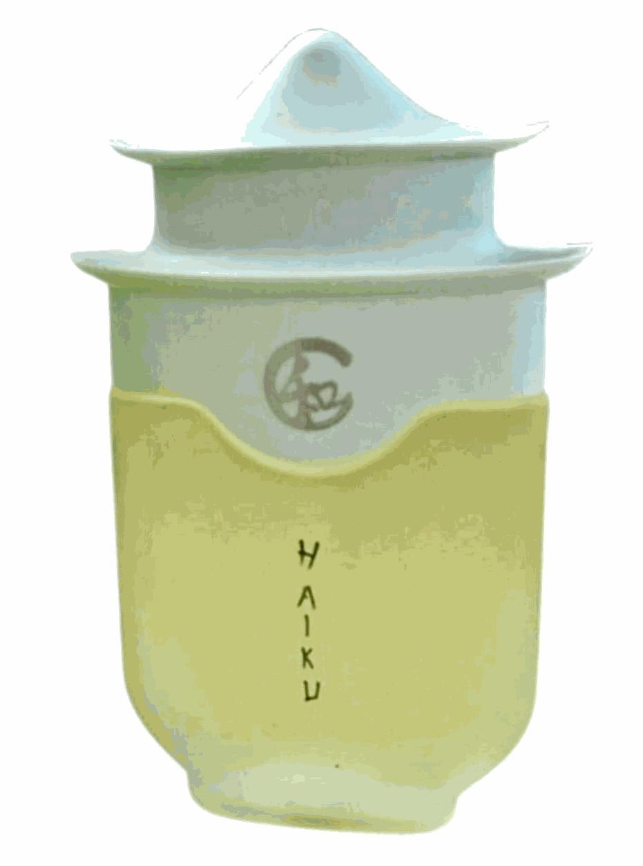 Avon Haiku Original Eau De Perfume bottle with floral and woody scent design